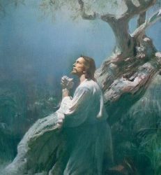 ¿Por qué Cristo sufrió en Getsemaní?