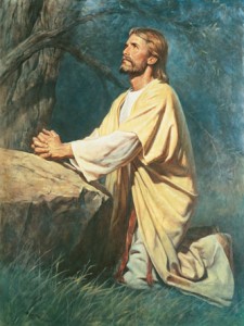 Expacion Mormon
