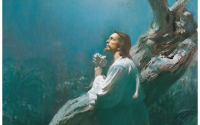 La Ley de Sacrificio: Parte II – Un gran y postrer sacrificio