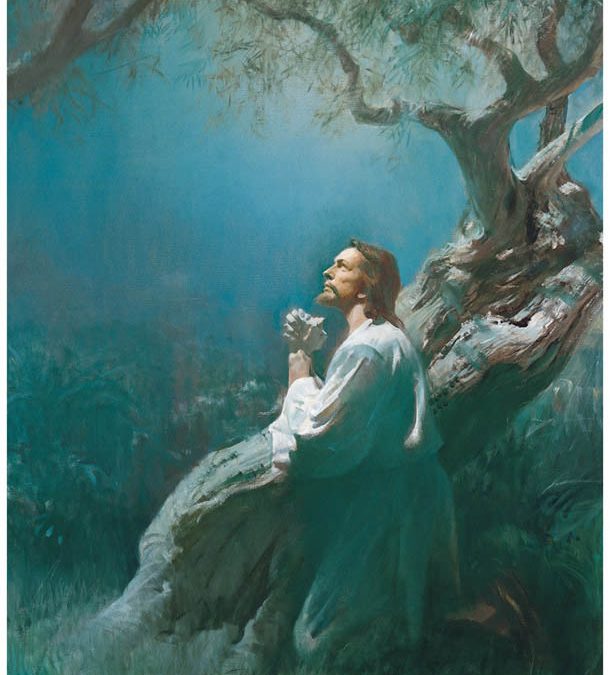 La Ley de Sacrificio: Parte II – Un gran y postrer sacrificio
