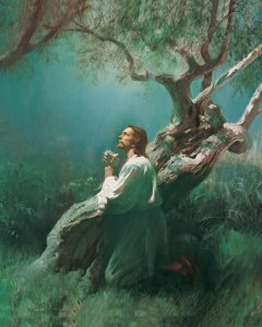 Cómo Jesucristo nos salva
