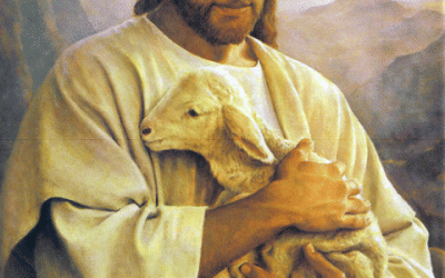 ¿Por qué se llama a Jesús el Cordero de Dios?