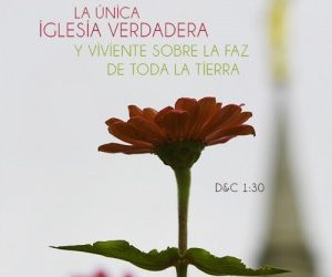 La Iglesia de Jesucristo: La única fe verdadera y viviente