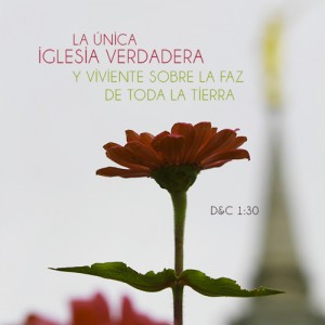 La Iglesia de Jesucristo la única religión verdadera y viviente 01